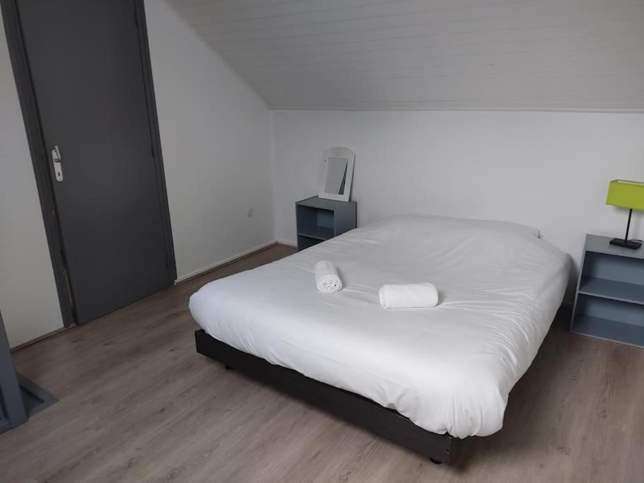Appartement Duplex Avec Garage Annecy Centre Et Lac Ngoại thất bức ảnh